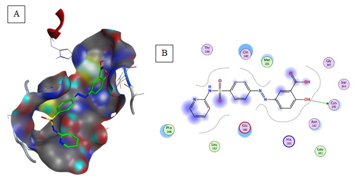 Figure 7: Furthermore, van der Waals interactions were composing a relatively hydrophobic environment.