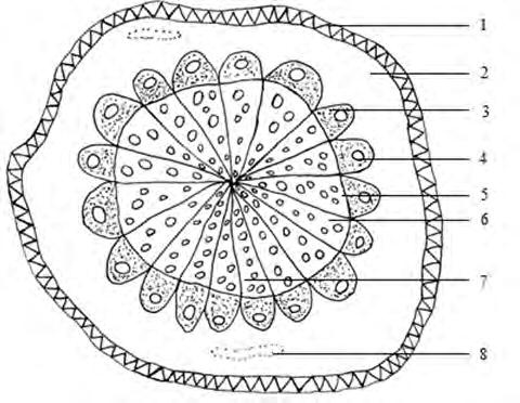 Figure 8