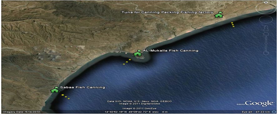 Figure 1: Al Mukalla fish canning factory is located on the southern shores of Yemen on the Arabian Sea Coast between latitude 14.5°N and 15°N and longitude 49°E and 50°E. Sabaa Fishing factory is located in the west (15° 23́ 355″ N and 48° 59́ 537″E). Tuna for canning packing fishing factory is located in (14º35’ N and