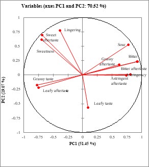 Figure 2: Principal component analysis of herbal tea with different formulations and their taste, Aftertaste and overall evaluation sensory quality. A: Tea formulations: TF1( 100% moringa), TF2 (95% moringa and 5% stevia), TF3 (90% moringa and 10% stevia), TF4 (85% moringa and 15% stevia), TF5 (80% moringa and 20% stevia),TF6(75% moringa and 25% stevia),TF7(70% moringa and 30% stevia),TF8(65% moringa and 35% stevia) and GT(green tea ). B: PCA Loadings: Sweetness, sweet aftertaste, lingering, sour, grass after taste, bitter, bitter after taste, astringency, astringency after taste, grassy taste, leafy taste, and leafy after taste.