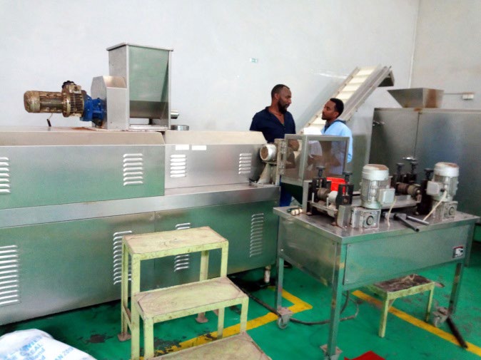 Figure 3: Heating the extruded product in Oven.