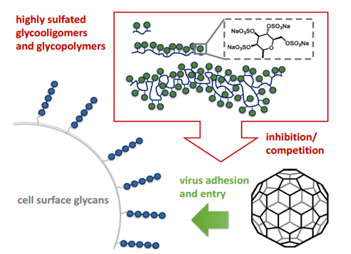 Figure 13: Theoretical mechanisms of PNC based on copper nano particles [17].