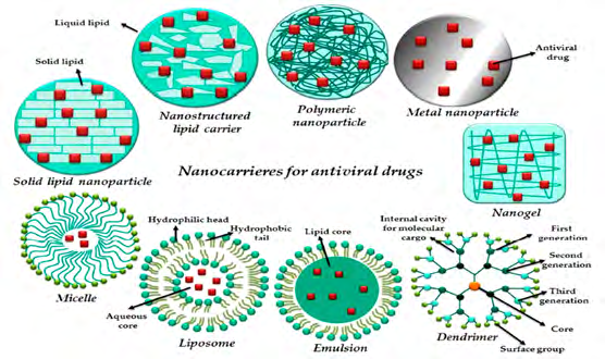 Figure 14: A schematic model represents the inhibition mechanism for antiviral PNC by competing with virus to prevent it enters the cells [2].