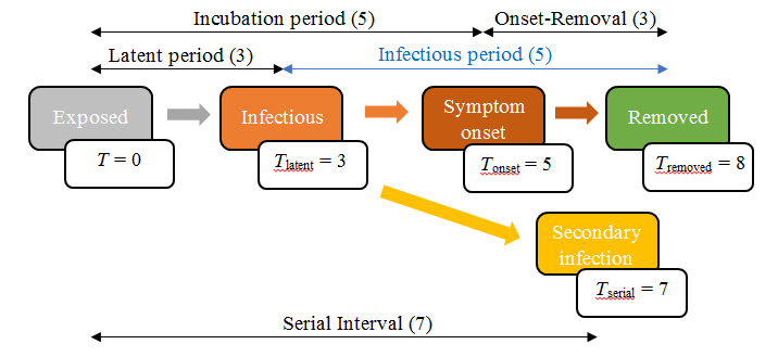Figure 2: Timeline of infection stages with typical parameter estimates for COVID-19 in Singapore.