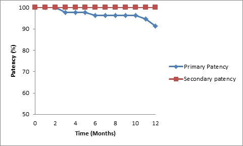 Figure 7: Kaplan Meier curves of primary and secondary patency rates.