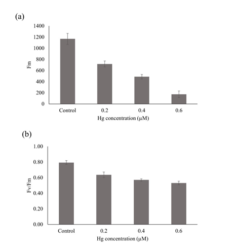 Figure 2: Effect of Hg stress on maximum fluorescence (Fm)(a) and quantum yield (Fv/Fm) ;(b).