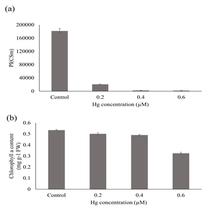Figure 3: Effect of Hg stress on performance index (PIcsm); (a) and chlorophyll a content (b).