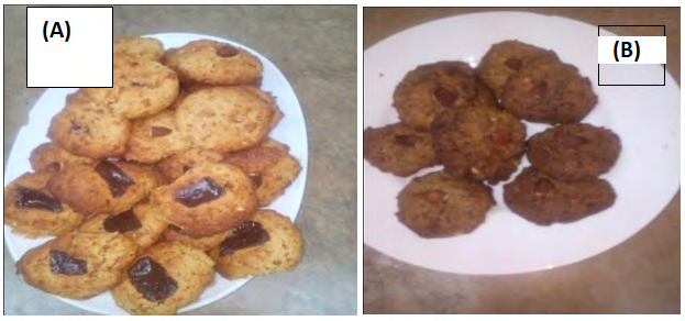 Figure 9: Biological biscuits (A witness and B with coffees).