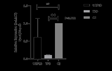 Figure 1: mRNA expression of the Tyro3 receptor kinase on URPLD, IPD and CE. Tyro3 receptor kinase mRNA expression significantly decreases on human first trimester TPD to CE. P=0,002 (**) for TPD vs CE and P=0,35 (ns) for URPLD vs CE. After the results of the mRNA expression, we wanted to determine whether does Tyro3 receptor kinase mRNA translates to protein, and Which cells do express Tyro3 receptor kinase in decidua and How do their localization between TPD and URPLD groups. Although the results of immunoblot analysis show parallel to qPCR, its results are non-significant (Figure 2).