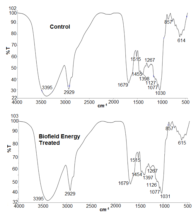 Figure 5: UV-vis spectra of the control and Biofield Energy Treated _W. somnifera_ (Ashwagandha) root extracts.