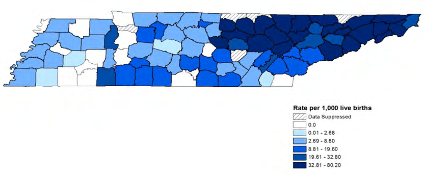 Figure 1: Rate of NAS Cases in Tennessee by County, 2017 [9].