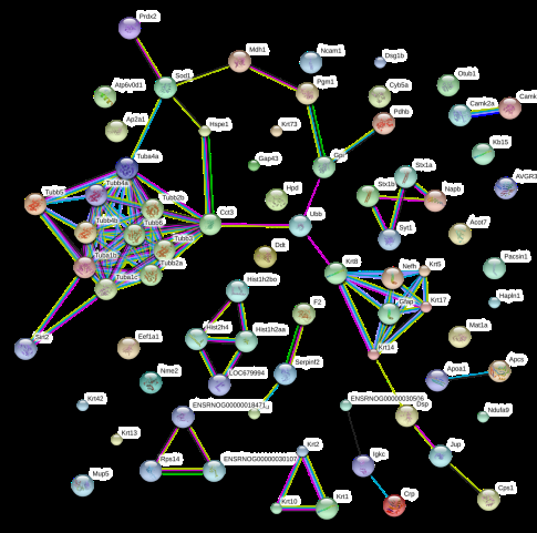 Figure 1: Protein-protein interaction among the differentially expressed proteins.