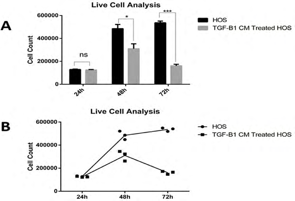 Figure 2: Viability and count analysis in HOS cells and TGF-B1-CM treated HOS cells at 24, 48 and 72 hours.