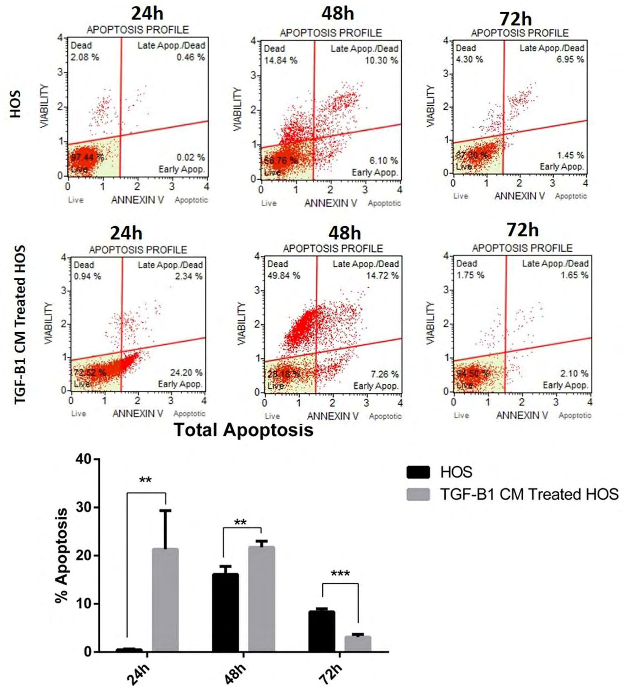 Figure 3: Percentage of total apoptosis in HOS cells and TGF-B1-CM treated HOS Cells at 24, 48 and 72 hours.