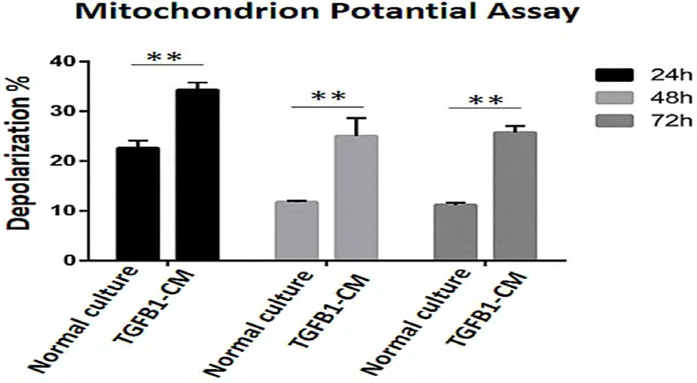 Figure 4: Percentages of mitochondrial membrane depolarization at 24, 48 and 72 hours between groups.