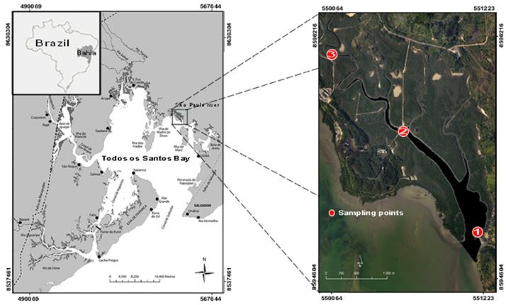 Figure 1: São Paulo River location map and sample collection points. Source: Adapted from Lessa et al. (2009).