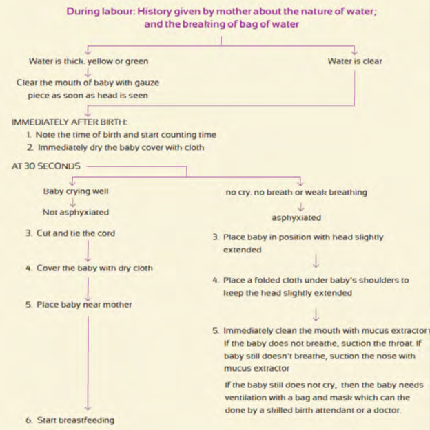 Figure 4: Asphyxia Action Tree.