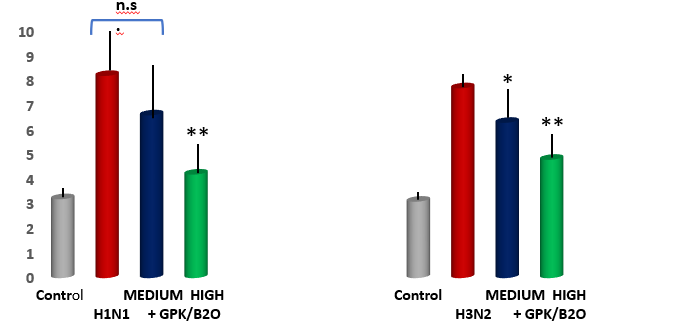 Figure 4: Lung Wet-Dry Weight Ratio In Mice Challenged By Two Viral Inoculations: Effect of GPK/B2O.