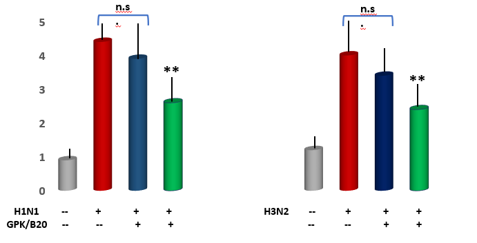Figure 7: TNF-α Lung Tissue Level in Mice Challenged by Two Viral Inoculations: Effect of GPK/B2O.