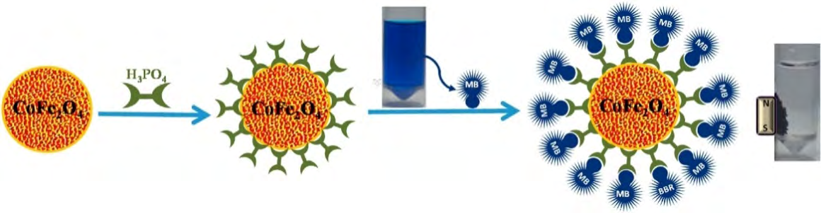 Figure 1: Schematic representation of preparation of modified CoFe2O4 and dye adsorption [17].