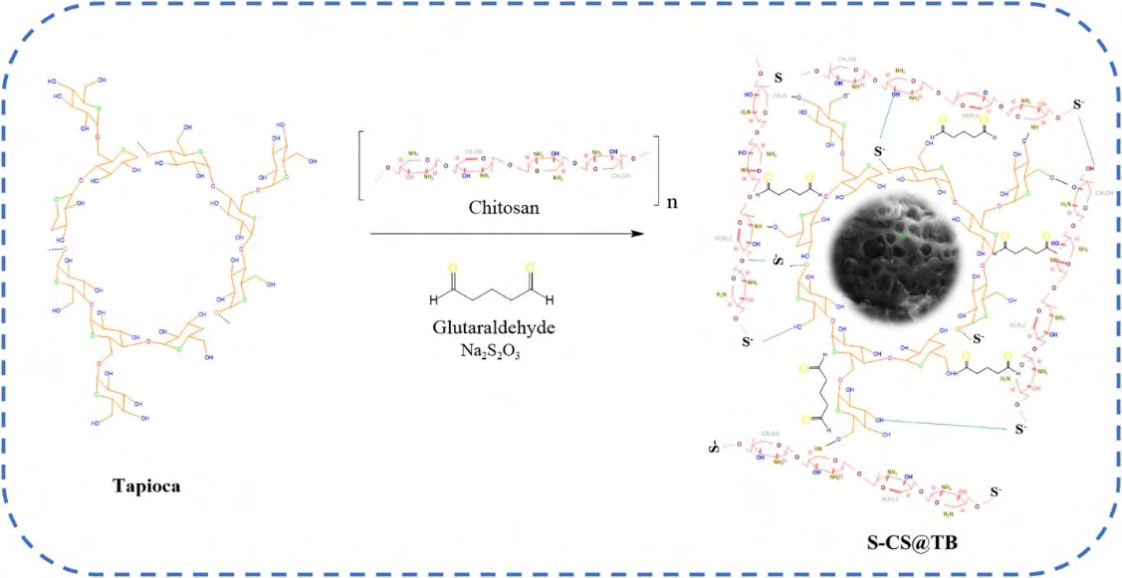 Figure 11: Synthesis route of S-CS@TB composite [27].