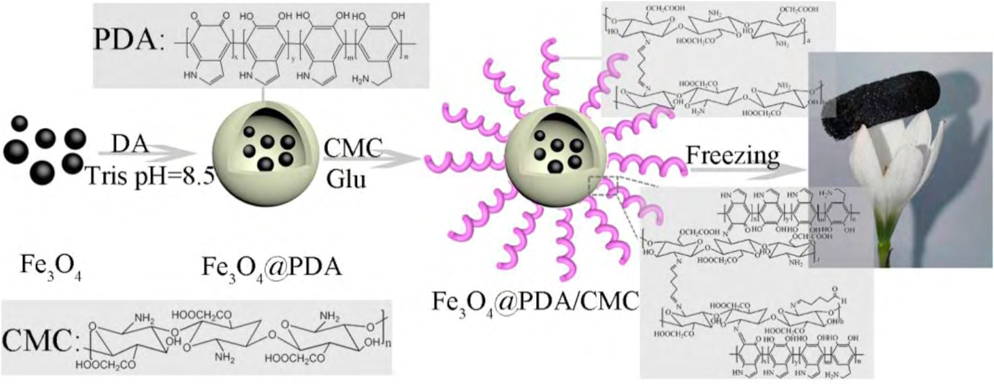 Figure 2: Schematic illustration of the preparation of Fe3O4@PDA/CMC aerogel [19].