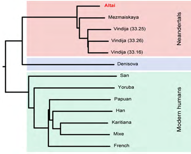 Figure 3: DNA sequences were generated on the Illumina HiSeq platform and constitute an average 50-fold coverage of the genome. 99.9% of the 1.7GB of uniquely mappable DNA sequences in the human genome are covered at least ten times Hugo Z, et al. [10].
