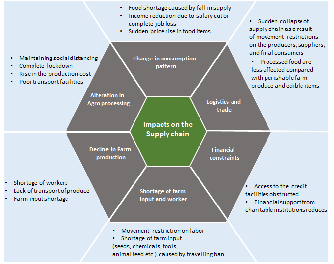 Figure 1: Adverse effect of COVID-19 on food security concerning supply chain of food imports and local production.