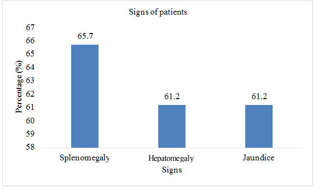 Figure 5: Assessment of the signs of thalassemia.