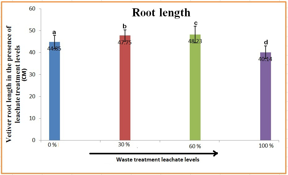 Figure 10: Morphological changes of vetiver roots against leachate treatment levels.