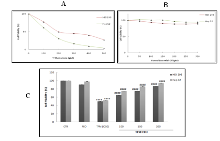 Figure 1: Percentage of cell viability after treatment of HEK-293 and Hep G2 cells with Triflumuron (TFM) alone (A), Fennel Essential Oil alone (FEO) (B) and their combinations (C) determined by the MTT test. Data are expressed as mean ± standard deviation of independent experiences. Data are expressed as mean ± standard deviation of independent experiences (n = 6). *** p <0.001 are significantly different from the control; (##) and (####) significant difference compared to cell treated with Triflumuron alone.