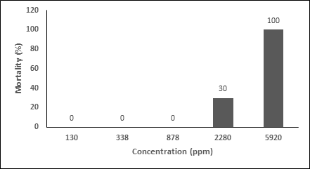 Figure 4: The percentage of mortality with different concentration of sea cucumber Bohadschia sp. extract in observation of toxicity test for 24 hours.