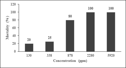 Figure 6: The percentage of mortality with different concentration of sea cucumber Bohadschia sp. extract in observation of toxicity test for 72 hours.