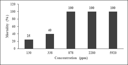 Figure 7: The percentage of mortality with different concentration of sea cucumber Bohadschia sp. extract in observation of toxicity test for 96 hours.