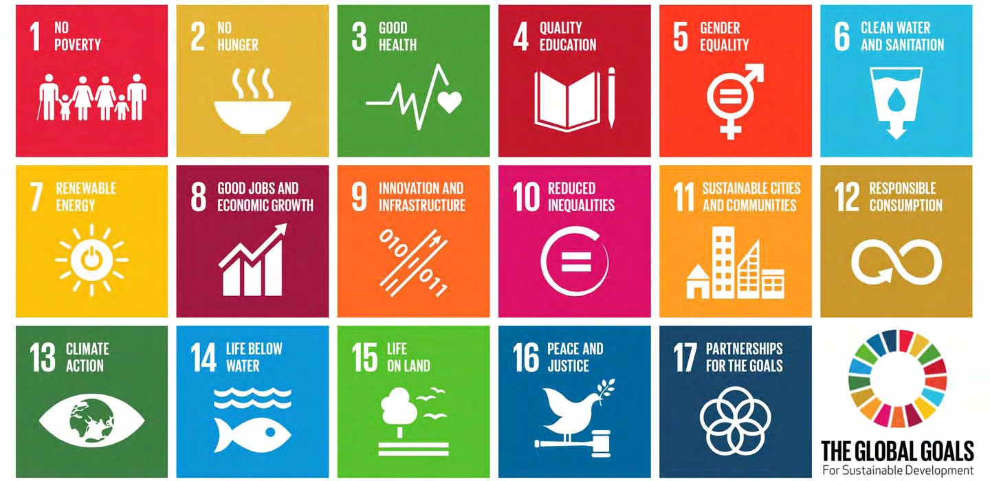 Figure 1: Sustainable Development Goals (SDGs).