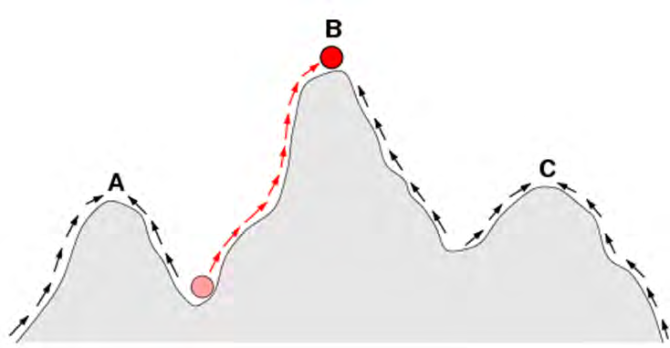 Figure 3: Bateson-Dobzhansky-Muller.