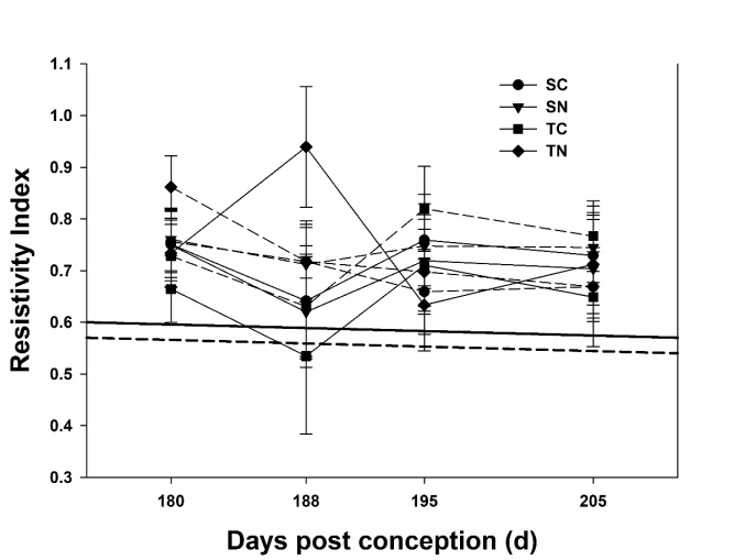 Figure 2: Resistivity index measured by Doppler ultrasonography on days post conception 180, 188, 195 and 205 in the ipsilateral and contralateral uterine arteries in pregnant, genotyped beef cows and heifers supplemented with rumen-protected niacin and exposed to endophyte- infected tall fescue seeds.