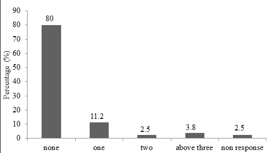 Figure 8: Number of persons employed in the street food business.
