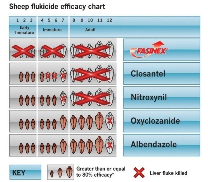 Figure 4: Flukicide and their efficacy.