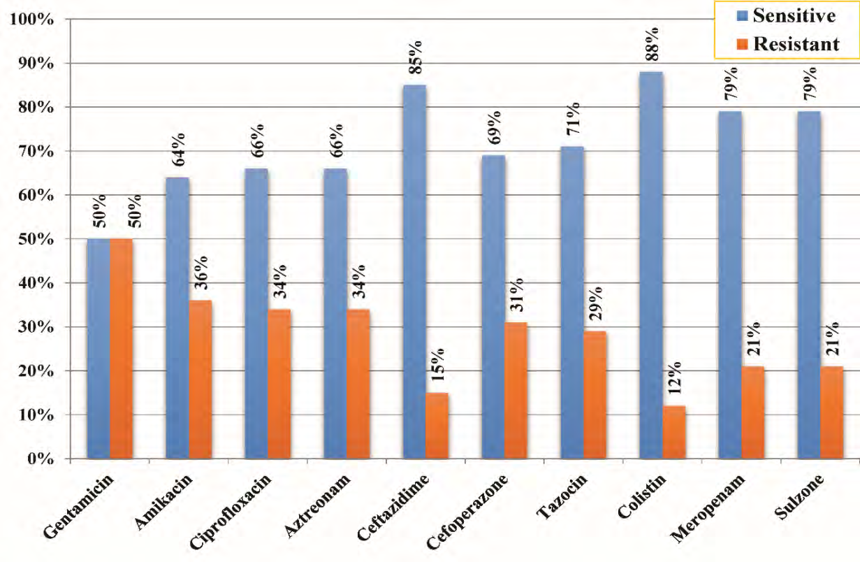Figure 4: In-vitro susceptibility pattern of P. aeruginosa isolated from pus specimens to different antimicrobials.