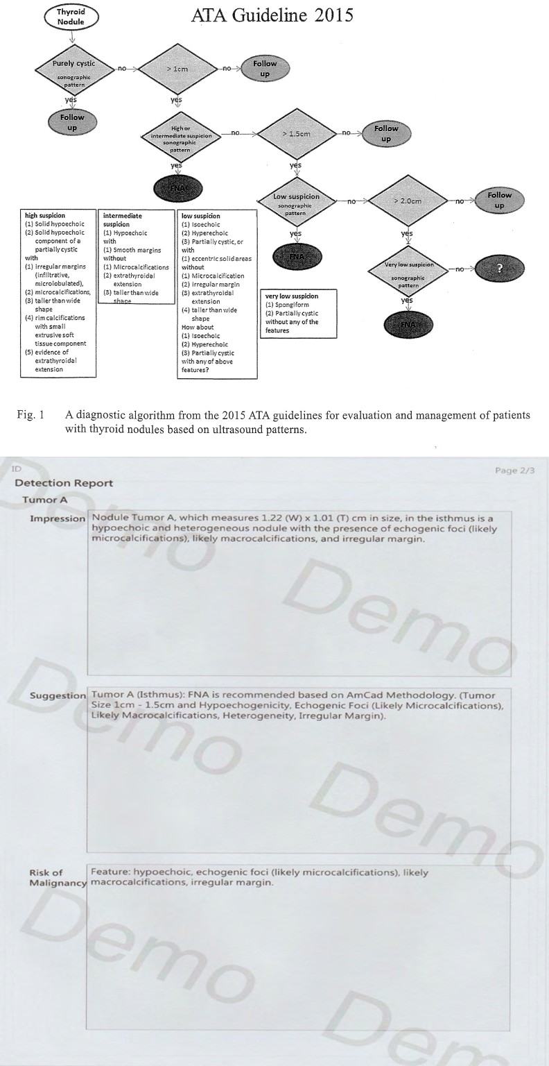 Figure 3: A diagnostic algorithm from the 2015 ATA guidelines for evaluation and management of patients with thyroid nodules based on ultrasound patterns.