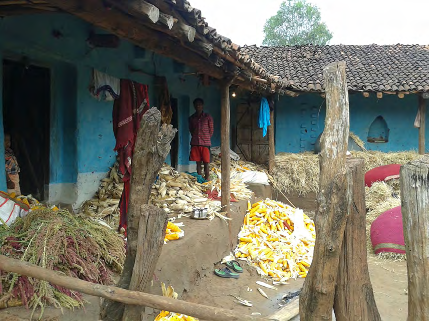 Figure 2: Traditional Practice of Shifting Cultivation and Cropping.