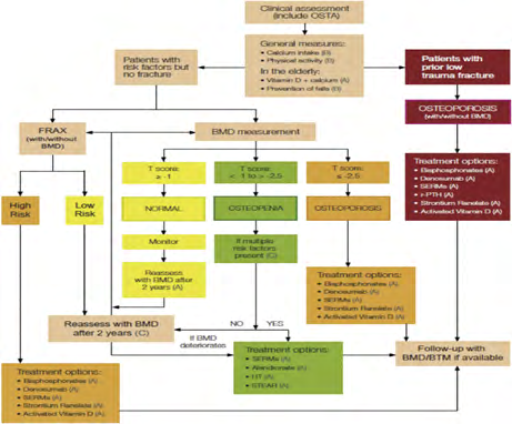 Figure 6: Algorithm devised to detect and treat post-menopausal osteoporosis.