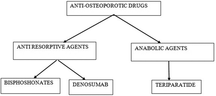 Figure 8: The classification of anti-osteoporotic drugs.