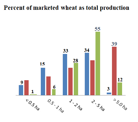 Figure 6: Patterns of marketed surplus of Sellers percent of all wheat marketed. _Source:_ Minot, et al. [2]