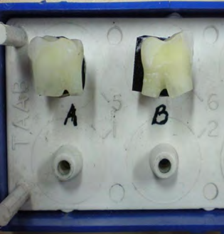Figure 10: Specimens on stage of the SEM sample chamber.