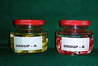 Figure 3: Transbond Plus Self-etching Primer (SEP).