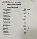 Figure 1: Listeria monocytogenes positive blood culture sensitive to ampicillin and penicillin.