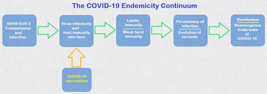 Figure 1: The COVID-19 endemicity continuum.