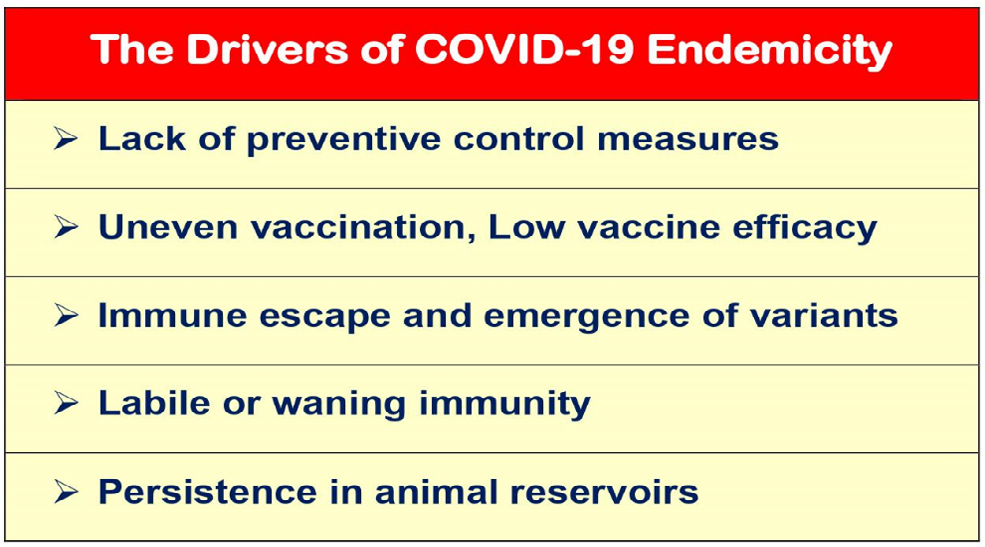 Figure 2: The drivers leading to the endemicity of COVID-19.